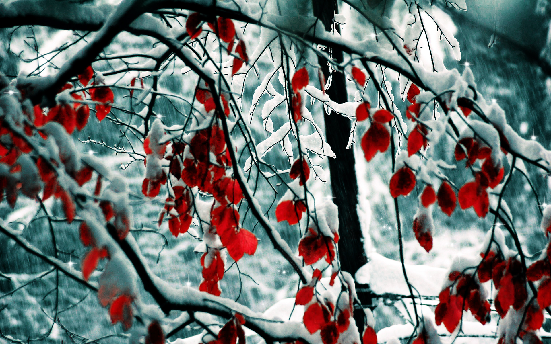Snow Leaves