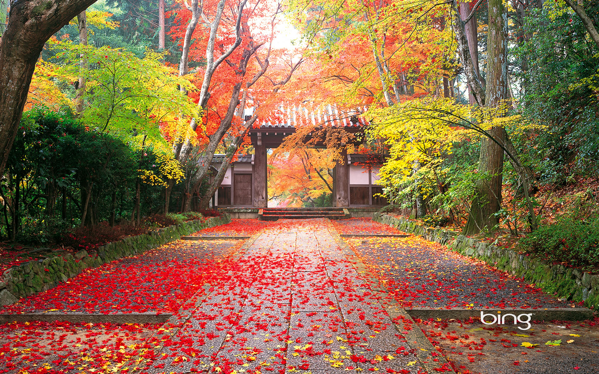 Autumn in Japan