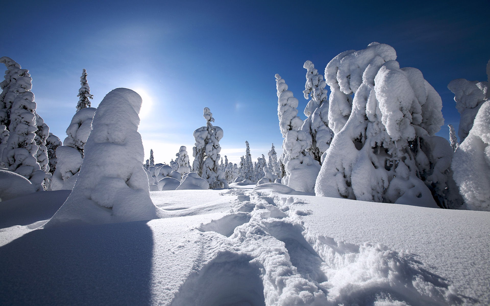 Winter in Finland