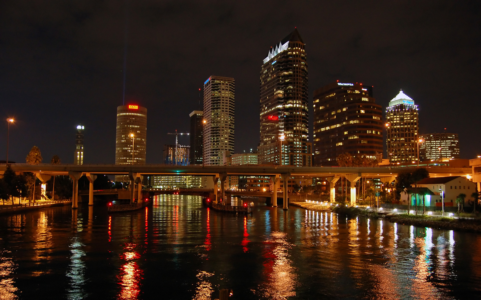 Tampa Bay Nights