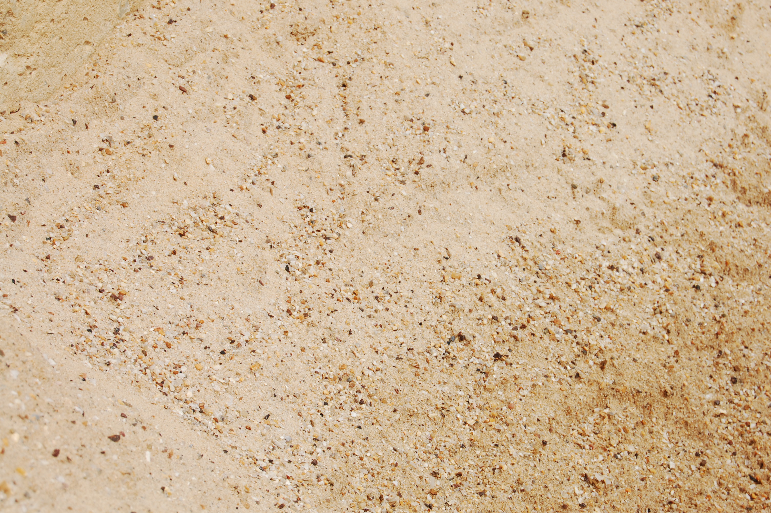 Sand Grains Wallpaper