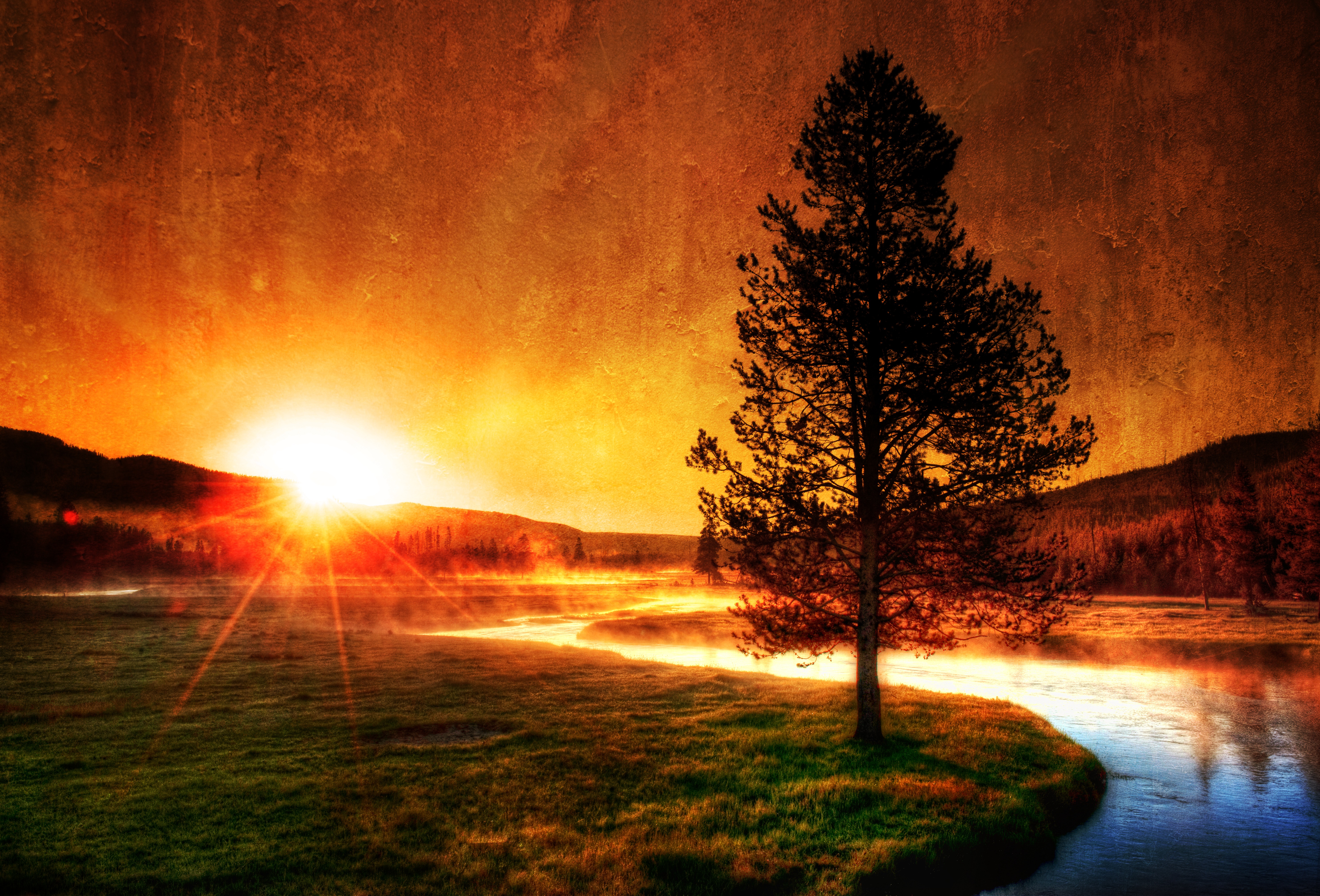 Evening Lights at Nature