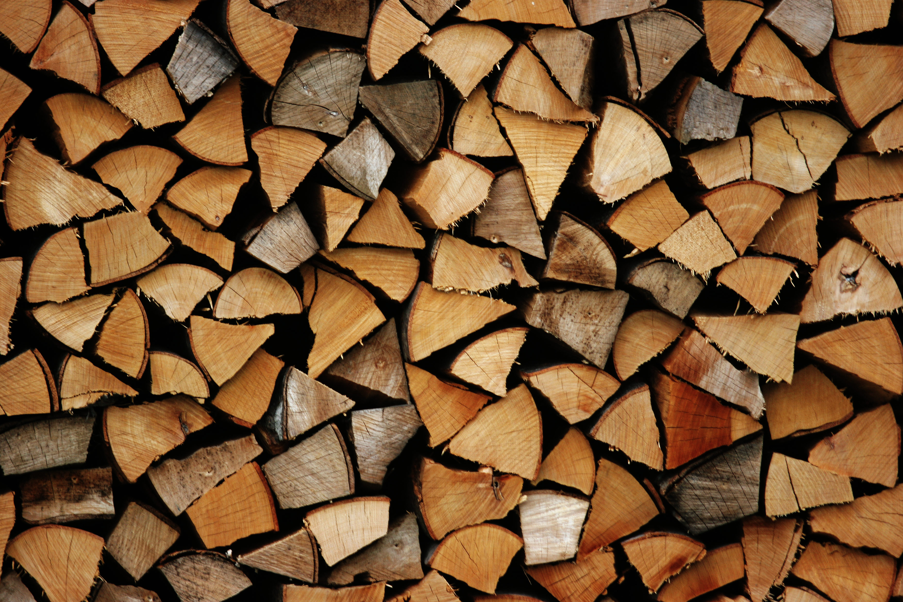 Chopped Firewood Against the Wall