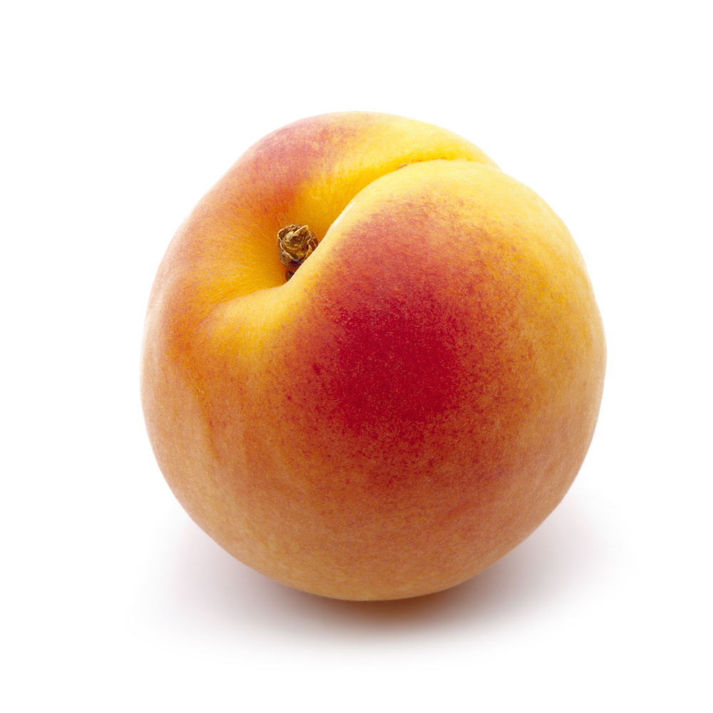 Apricot